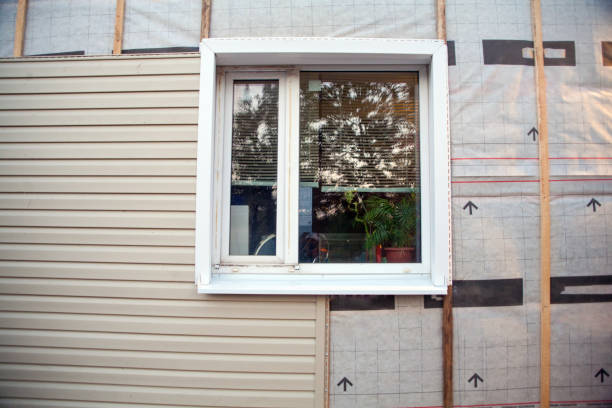 Best Aluminum Siding Installation  in USA